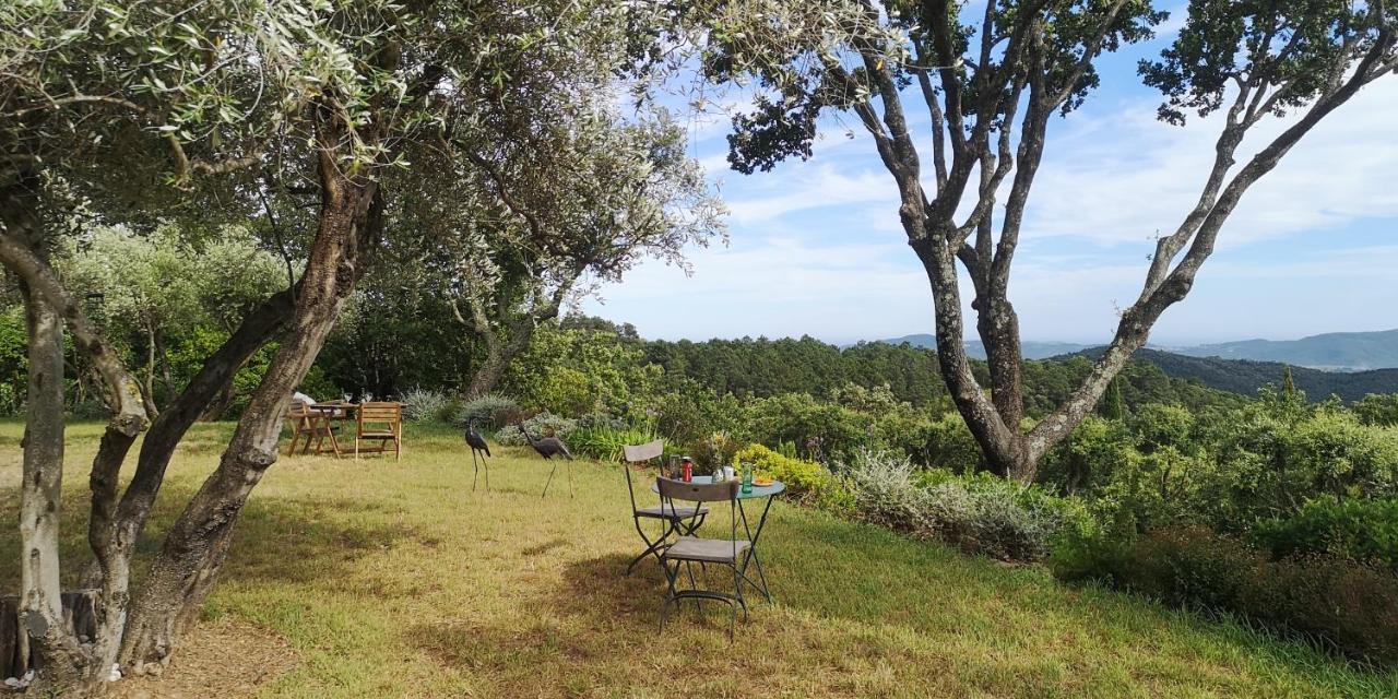 Domaine Des Chenes De La Galline La Garde-Freinet Esterno foto
