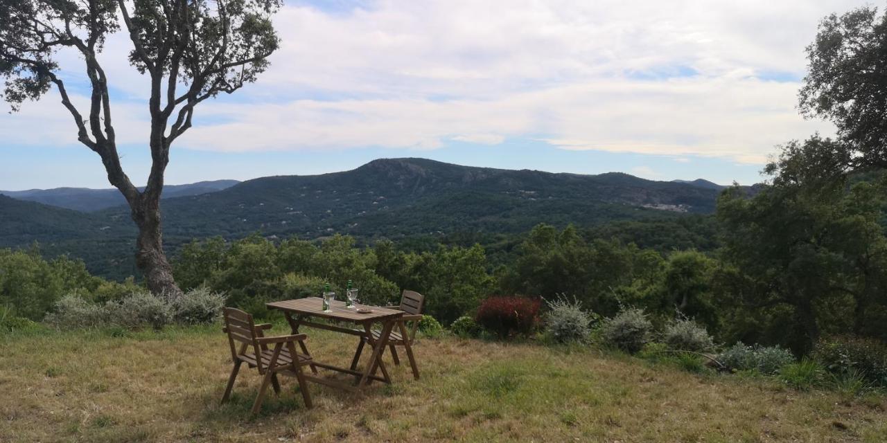 Domaine Des Chenes De La Galline La Garde-Freinet Esterno foto
