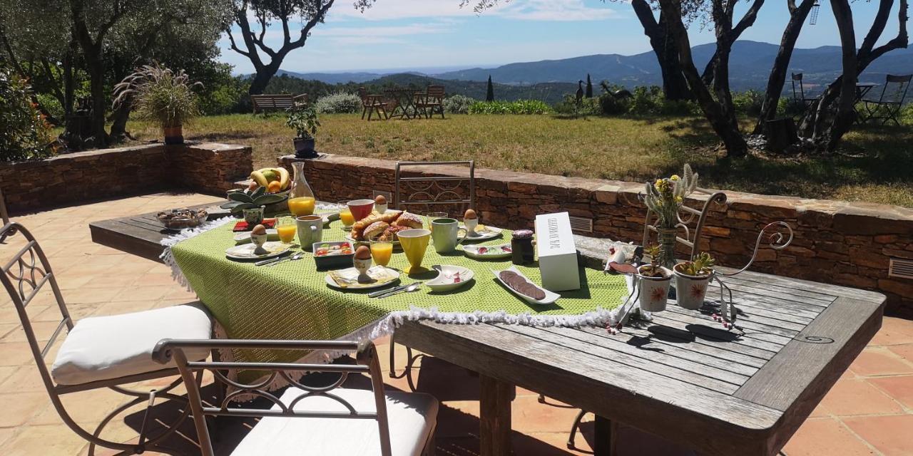 Domaine Des Chenes De La Galline La Garde-Freinet Esterno foto