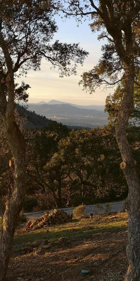 Domaine Des Chenes De La Galline La Garde-Freinet Esterno foto