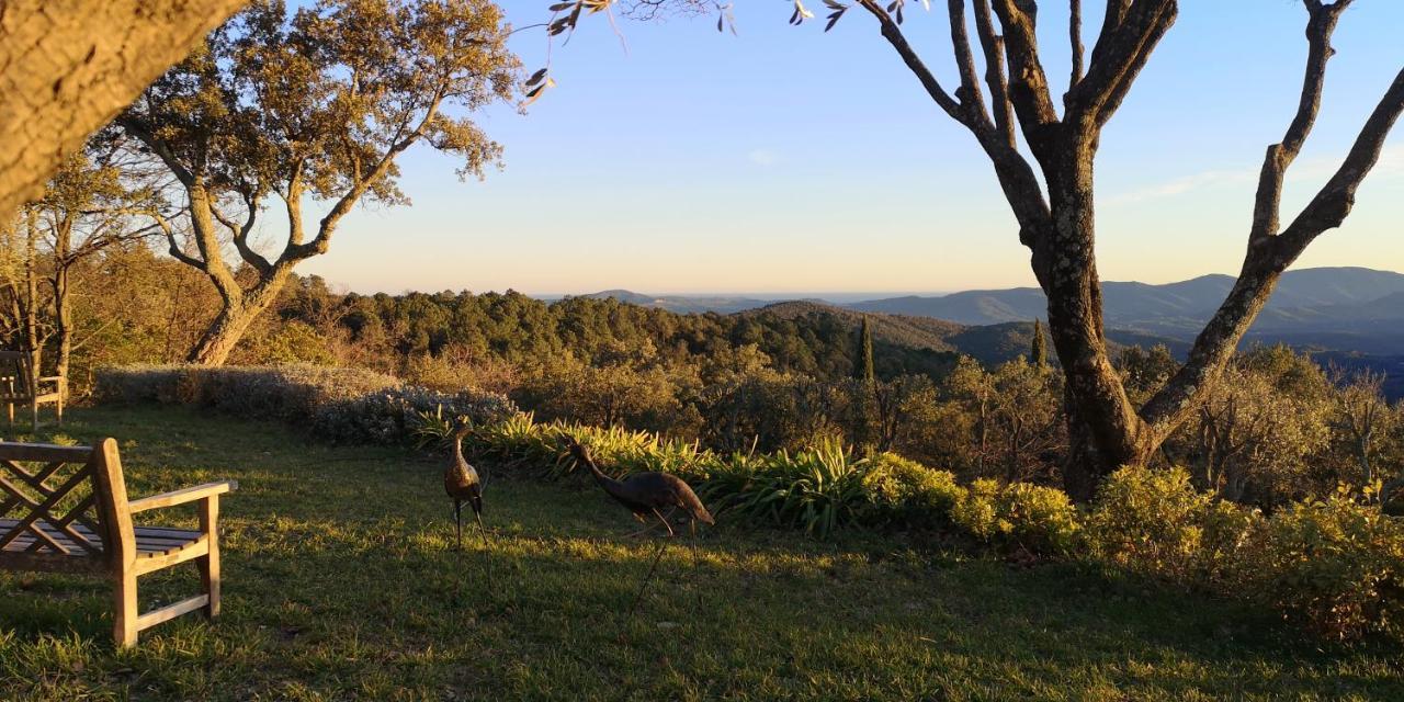 Domaine Des Chenes De La Galline La Garde-Freinet Esterno foto