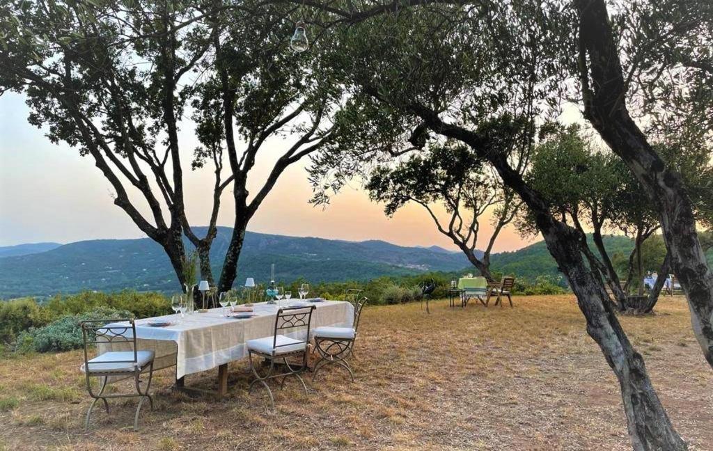 Domaine Des Chenes De La Galline La Garde-Freinet Esterno foto
